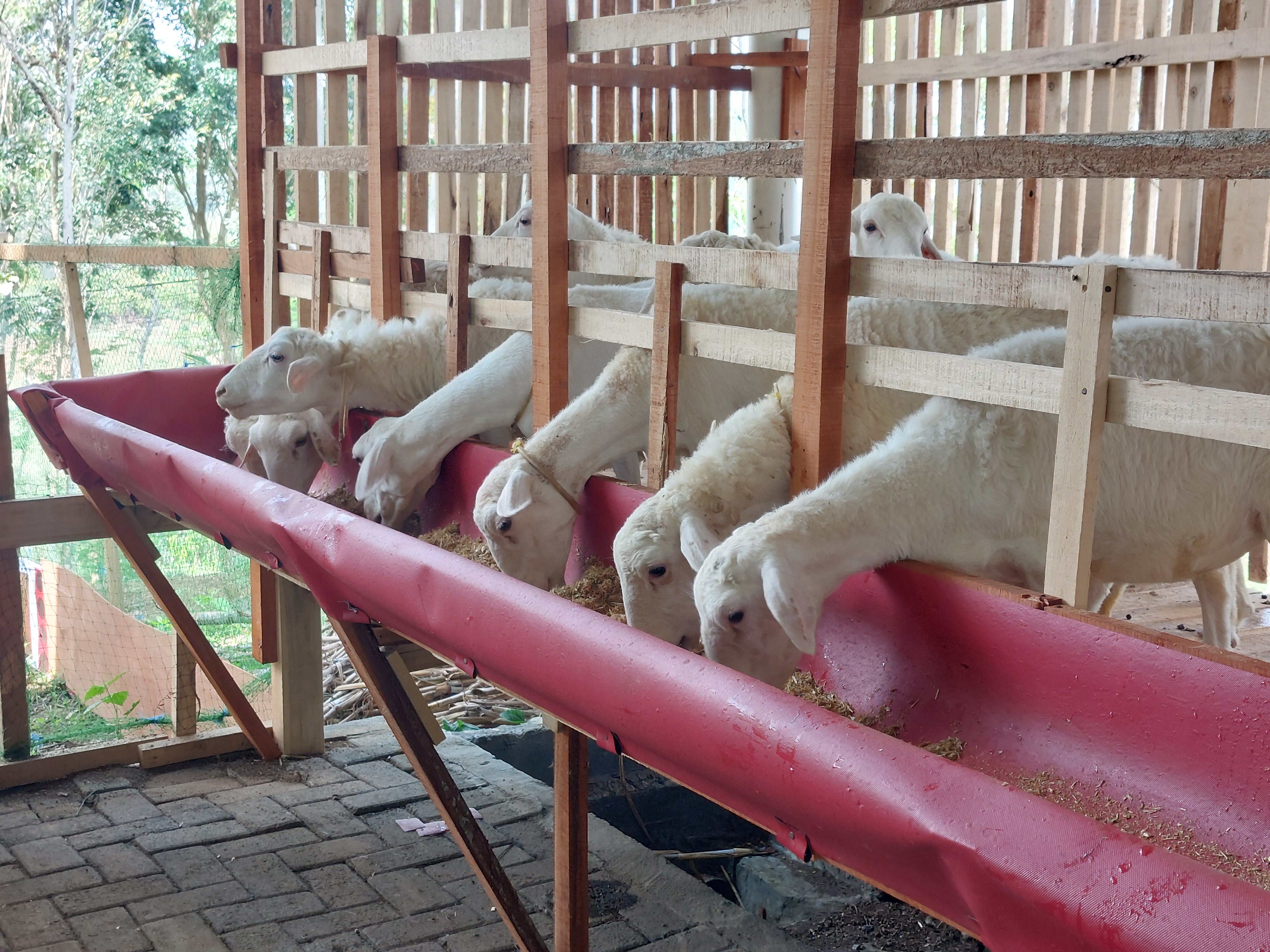 Photo by Austin Wade