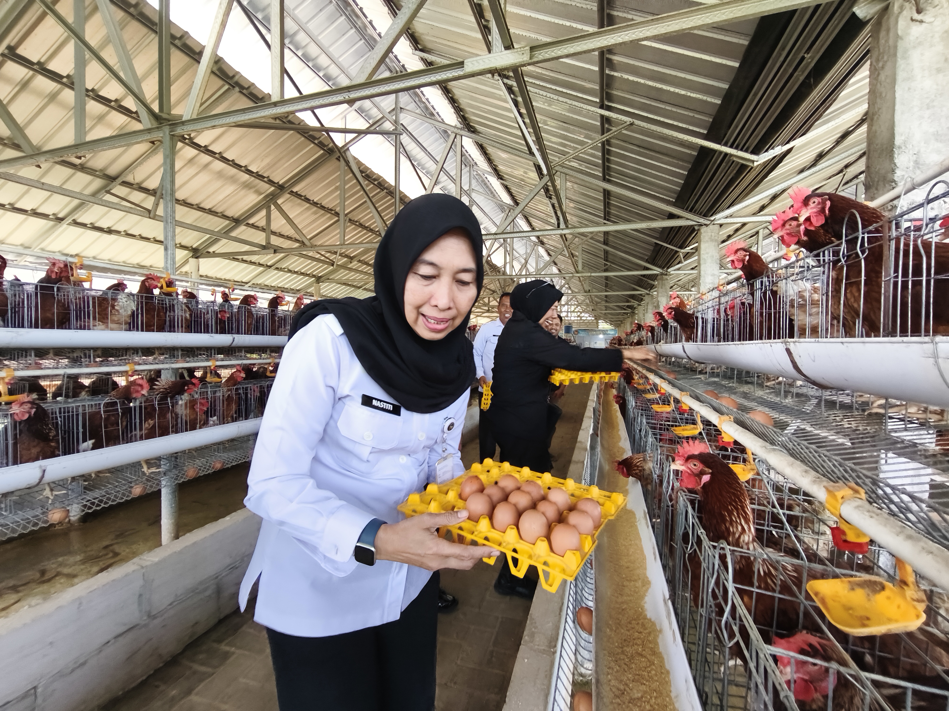 Photo by Nick Karvounis